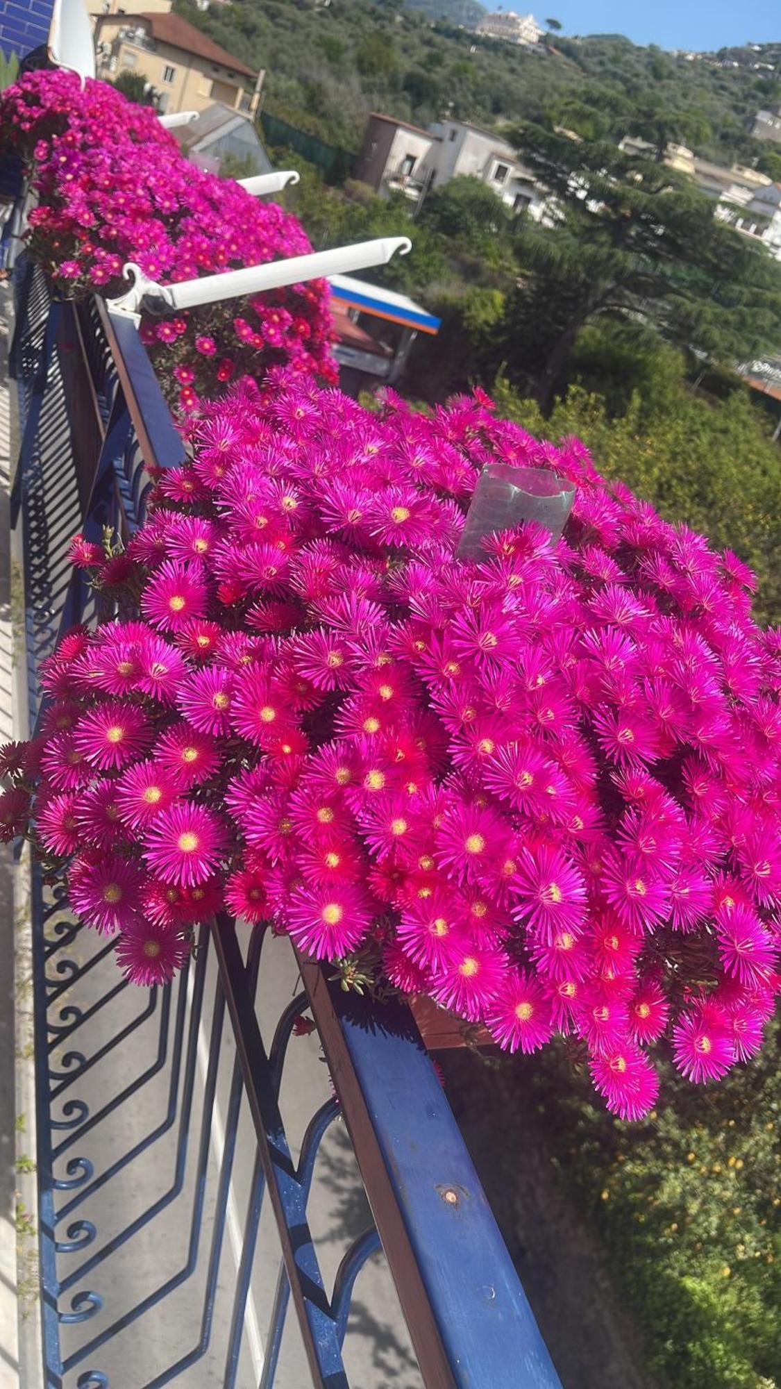 Bougainvillea Relais Maison d'hôtes 2*